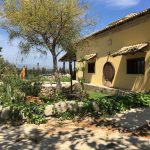 Excursion Noto Siracusa