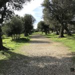 La Laguna de Venus en el cabo de Milazzo Sicilia