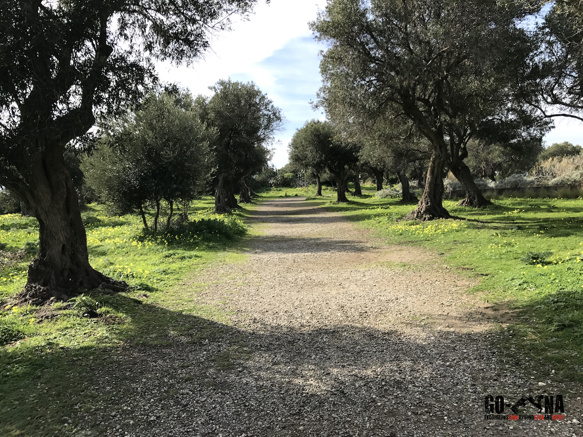 La Laguna de Venus en el cabo de Milazzo Sicilia