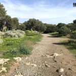 La Laguna de Venus en el cabo de Milazzo Sicilia